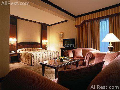 Millennium Hotel Abu Dhabi 10
